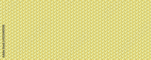 Banner with Vintage Geometric Star Pattern. Conceptual Line Design.