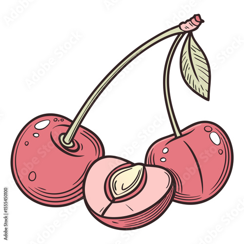 Two Cherries and a Halved Cherry Illustration