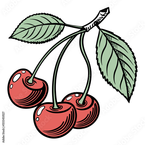 Two Cherries and a Halved Cherry Illustration