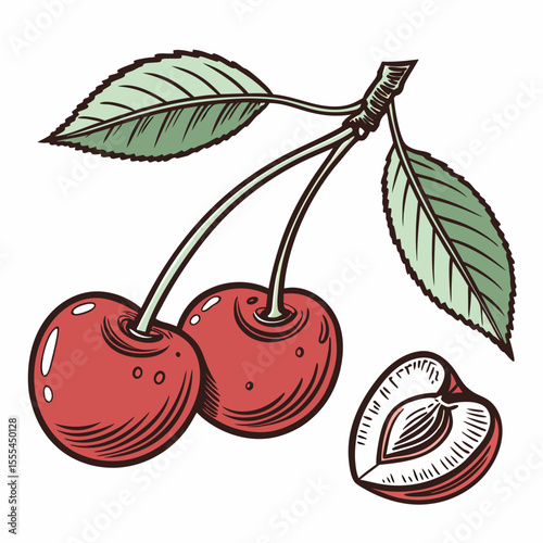 Two Cherries and a Halved Cherry Illustration