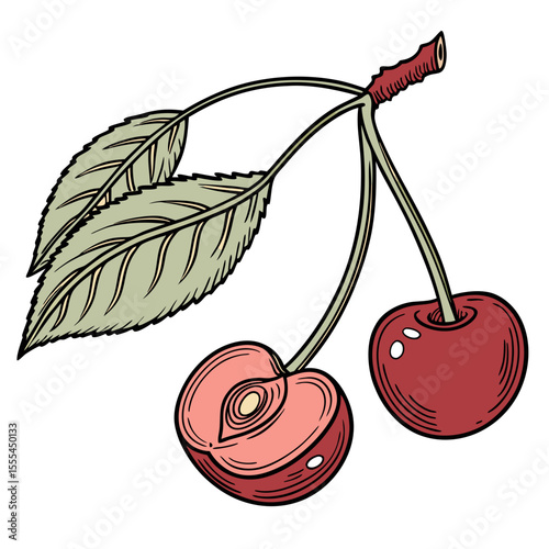 Two Cherries and a Halved Cherry Illustration