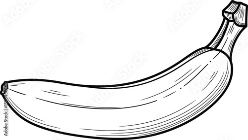 A black and white drawing of a single banana with detailed line work on a white background space