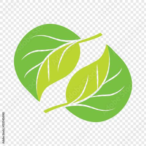 Green leaf. Elements design for natural, eco, vegan, bio labels. Eps 10