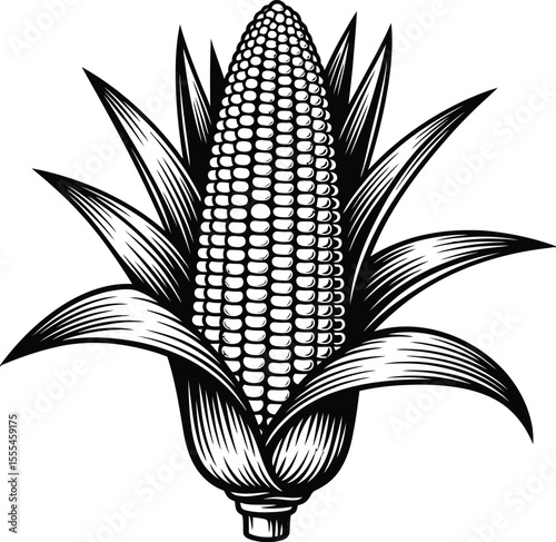 Illustration of a corn cob with husks in black and white on a light gray background design element