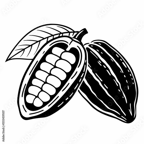 Cocoa Bean Illustration Fresh Cacao Pod and Seeds, Detailed Black and White Sketch for Culinary Designs