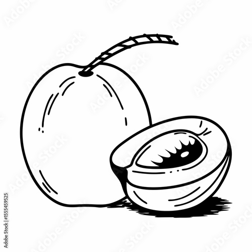 Hand-Drawn Line Art Illustration of a Peach Whole and Halved