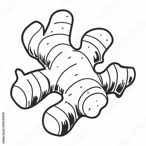 Monochrome Vector Drawing of Fresh Ginger Root with Detailed Texture and Healthy Benefits