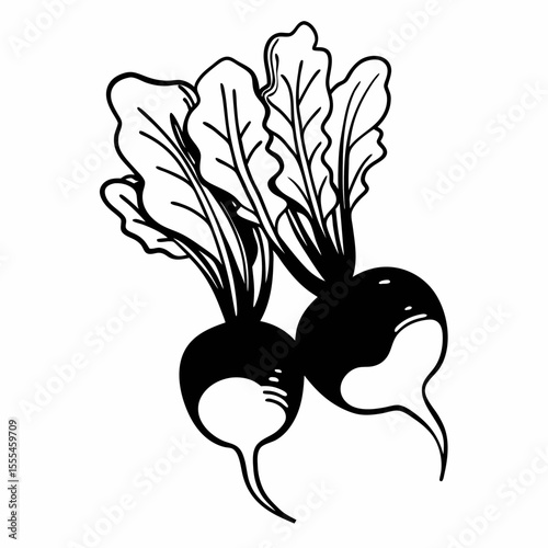 Hand-Drawn Illustration of Two Fresh Radishes with Greenery
