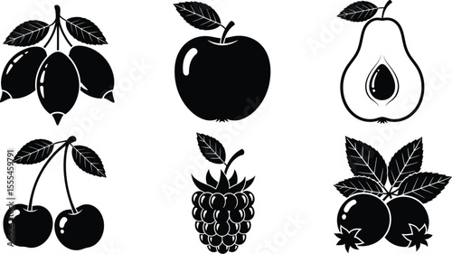 Assortment of black and white fruit illustrations including berries apple and pear in a vector format