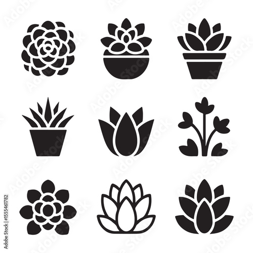 Succulent Icon Set for Decor. Vector Illustration of Various Succulent Plants in Pots
