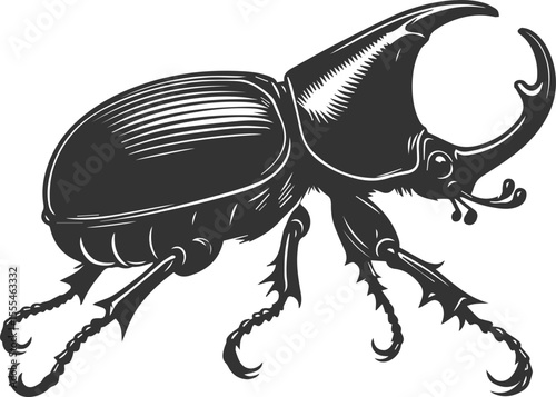 Beetle vector insect isolated silhouette black illustration