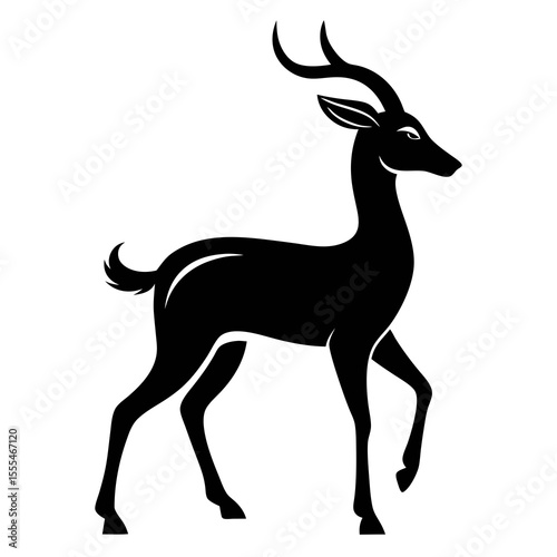 Gazelle on white background