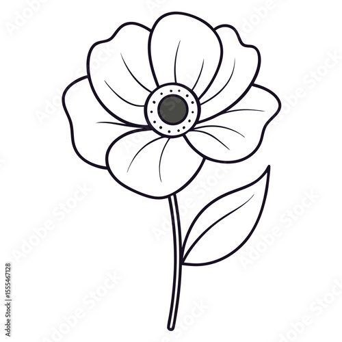 Poppy Anemone flower on white background 