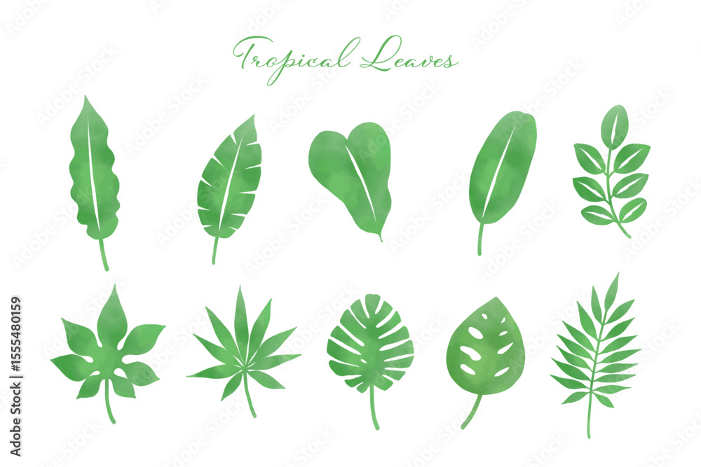 Naklejka premium Tropical Leaf Illustration Set – Vivid Green (Vector)