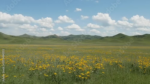Expansive meadow with wildflowers and rolling hills