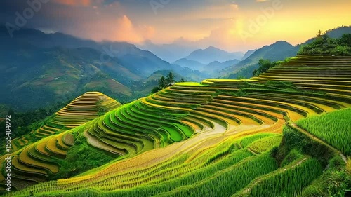 Terraced rice paddies landscape at sunrise
