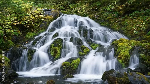Cascading Waterfall in a Lush Forest Setting