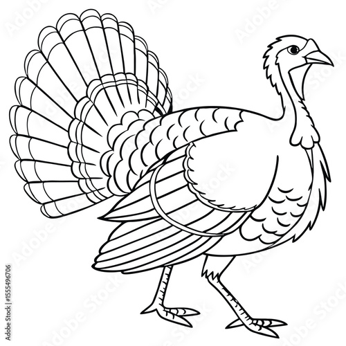 Illustration of a turkey with detailed feather outline