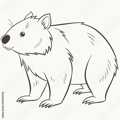Illustration of a wombat standing on a white background