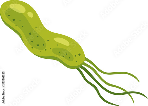 Helicobacter Pylori Bacterium Illustration

