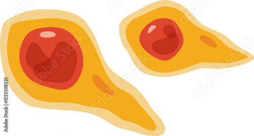 Clostridium Tetanus Bacterium Illustration

