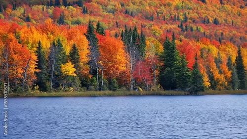 Autumn foliage along a lake shore