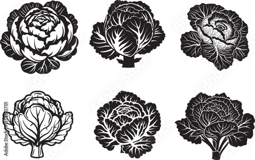Set of Cabbage icon clean simple silhouette