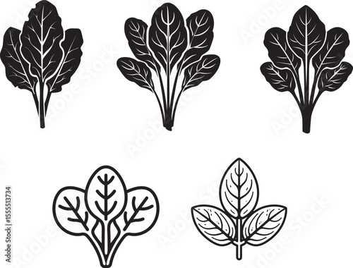 Set of Spinach icon clean simple silhouette