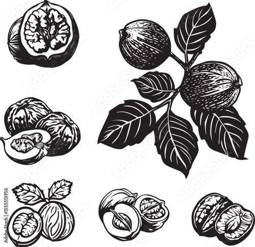 Set of Walnuts icon clean simple silhouette