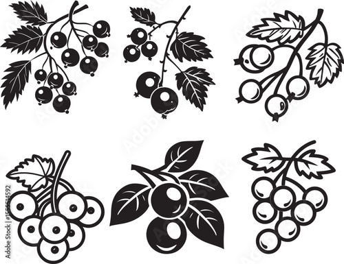 Set of Currant icon clean simple silhouette