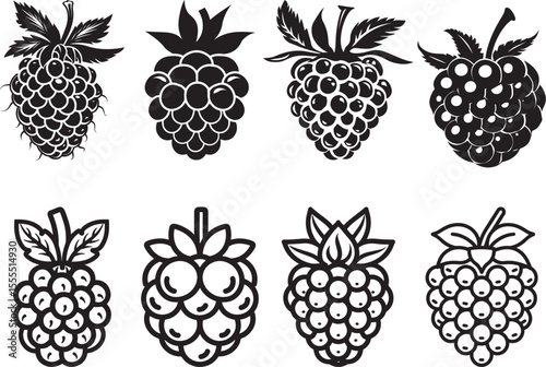 Set of Raspberry icon clean simple silhouette
