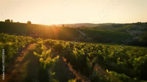 Serene sunset over lush vineyards in rolling hills, capturing a tranquil evening in nature's beauty