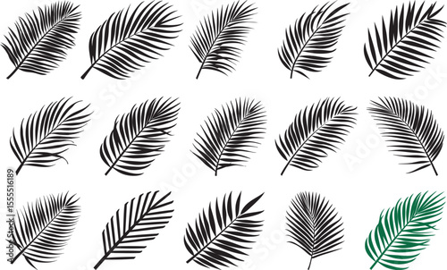Collection of Coconut Palm Leaf icon clean simple silhouette