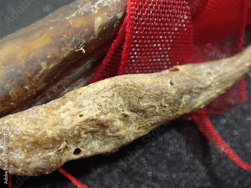 Dried Male Genitalia of a Dogfish (Haegushin) Used in Korean Traditional Medicine