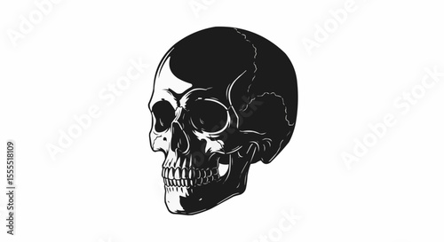 skull and bones