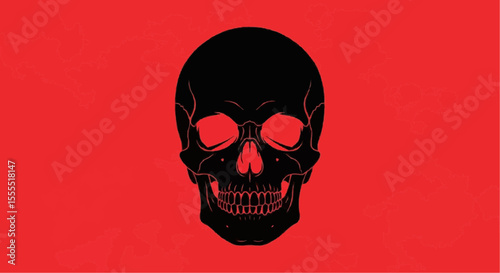 skull 