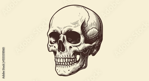 skull on black
