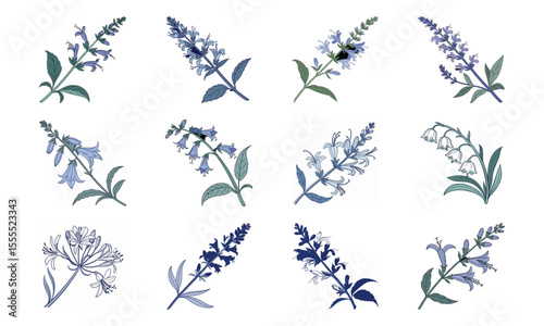 Bundle Salvia Flower Long Stemmed Bloom Flat Bluish Ton (5) 19 Salvia Flower Long St