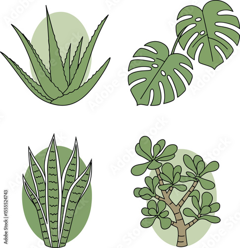  Botanical houseplant collection in minimalist logo style. Includes aloe vera, monstera, snake plant, jade plant. Simple vector