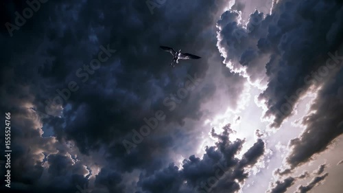 Seabird soaring against stormy sky, piercing light breaking through dark clouds, highlighting powerful silhouette and dramatic natural landscape