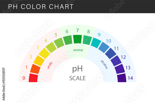 PH Scale. Gauge for acid and alkaline balance. Scale indicator for litmus paper test. Flat Vector illustration.