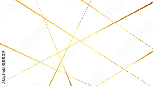Random chaotic lines abstract geometric pattern, Metal grid isolated on the white background. nervures de Feuillet mores.