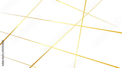 Random chaotic lines abstract geometric pattern, Metal grid isolated on the white background. nervures de Feuillet mores.