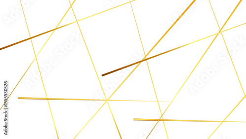 Random chaotic lines abstract geometric pattern, Metal grid isolated on the white background. nervures de Feuillet mores.