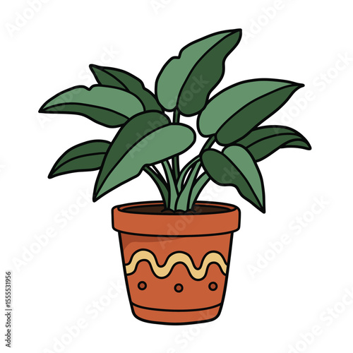 plant in a pot
