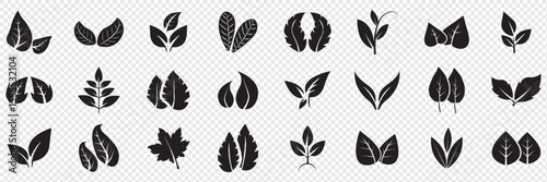 Leaf icons set, tropical leaves set, palm leaves silhouettes isolated, green leafs, environment and nature eco sign