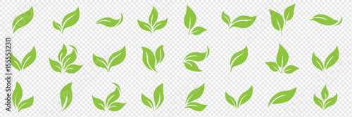 Green leaf icons set. Leaves icon on isolated background. Collection green leaf. Elements design for natural, eco, vegan, bio labels. Vector illustration EPS 10