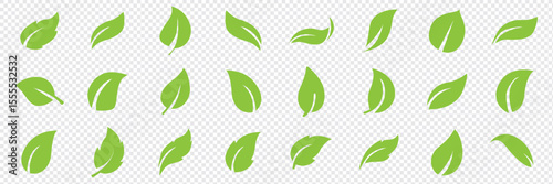 Green leaf icons set. Leaves icon on isolated background. Collection green leaf. Elements design for natural, eco, vegan, bio labels. Vector illustration EPS 10
