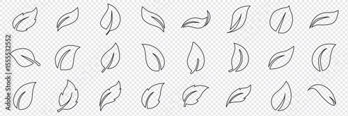 Isolated abstract leaves icons set on white background.