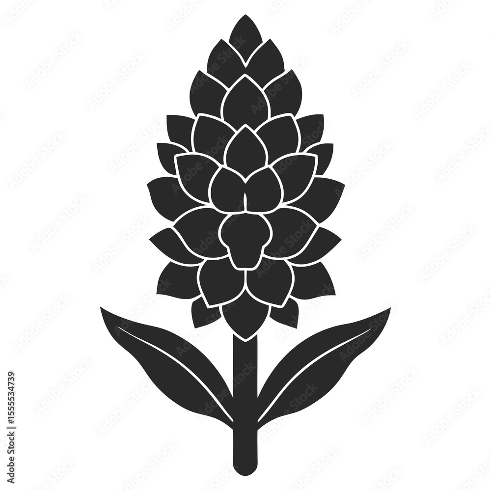 Obraz premium Hyacinth vector silhouette illustration isolated on white background